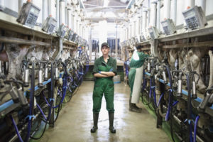 Frau im Kuhstall einer modernen Landwirtschaft